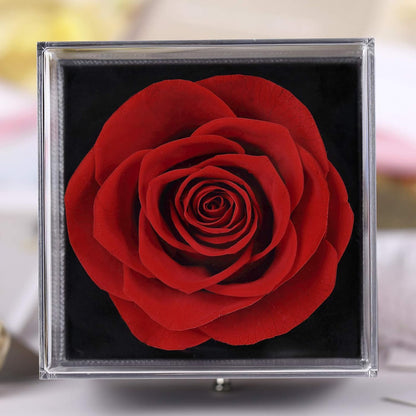 Preserved Real Rose Enchanted Real Rose Flower with Love Heart I Love You Necklace 100 Languages Gift Set,Handmade Eternal Flesh Flower Rose Gift for Her on Valentine'S Day Anniversary Mother'S Day