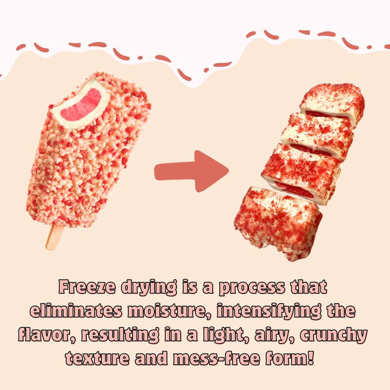 G-BOX Freeze Dried Ice Cream | Crunch Strawberry Shortcake Ice Cream Bites - Chocolate Eclair Ice Cream Bites - Perfect for Camping, Outdoor, and Party - Air-Tight Sealed in a Deli Container